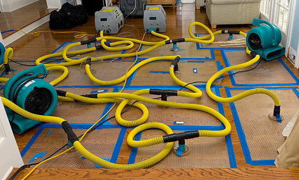 Professional Storm Water Damage Restoration technician working in Kingsbury, NV